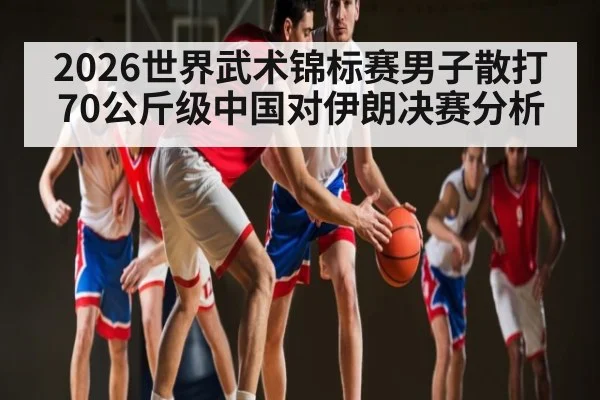 2026世界武术锦标赛男子散打70公斤级中国对伊朗决赛分析